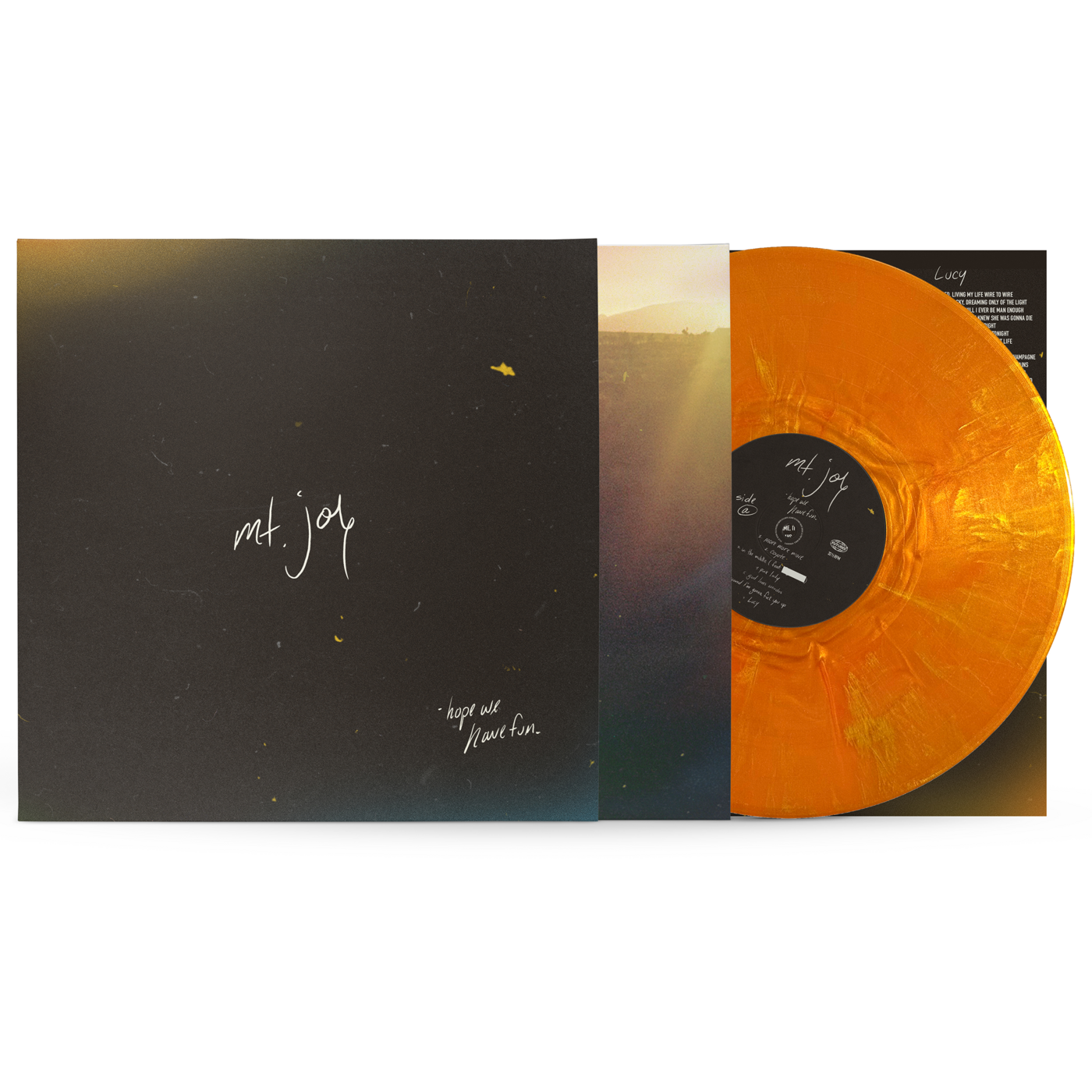 Hope We Have Fun Goldfish vinyl