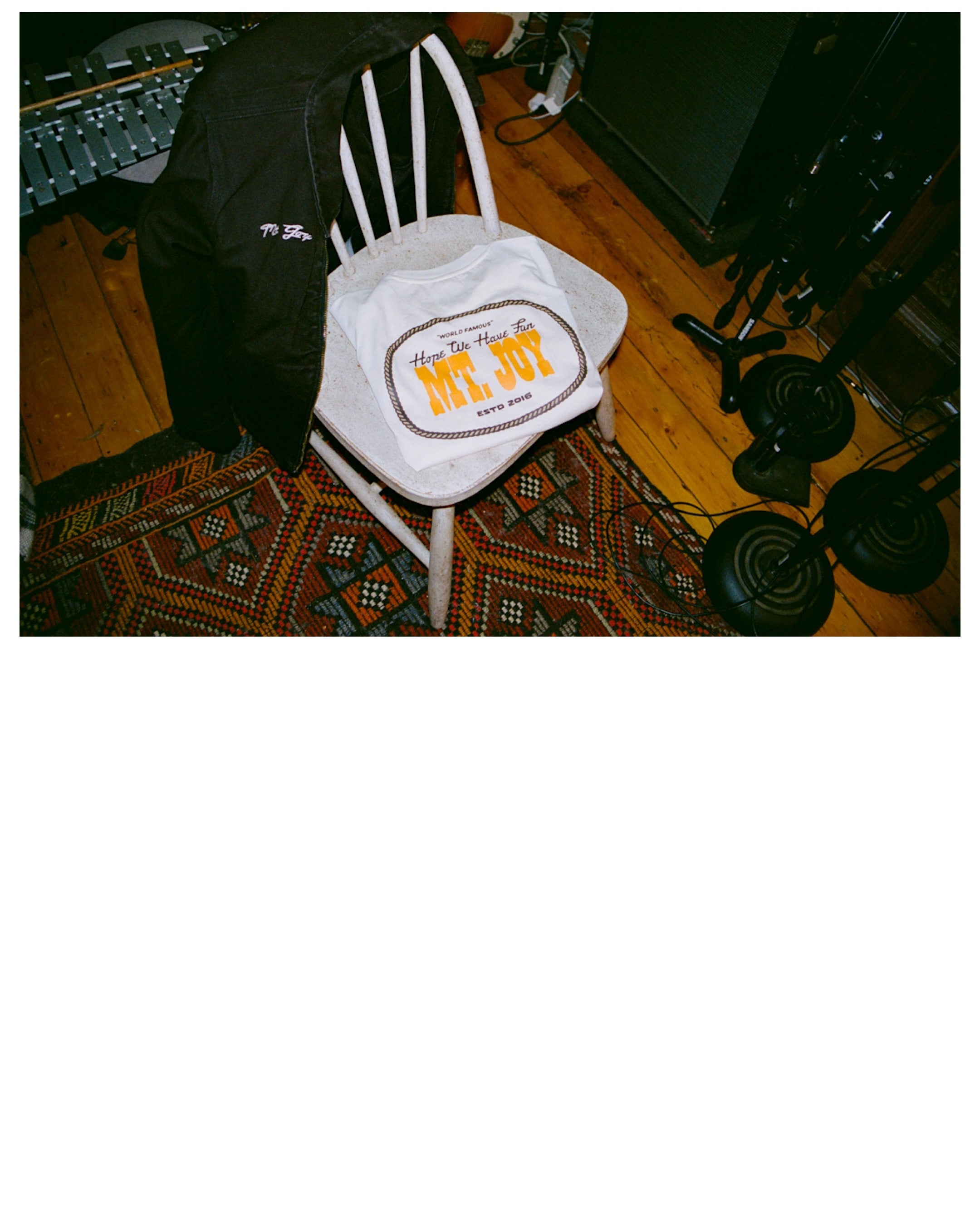 Dinner Service x Mt. Joy Tee - image 4