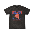 Mt. Joy Championship mineral wash T-shirt