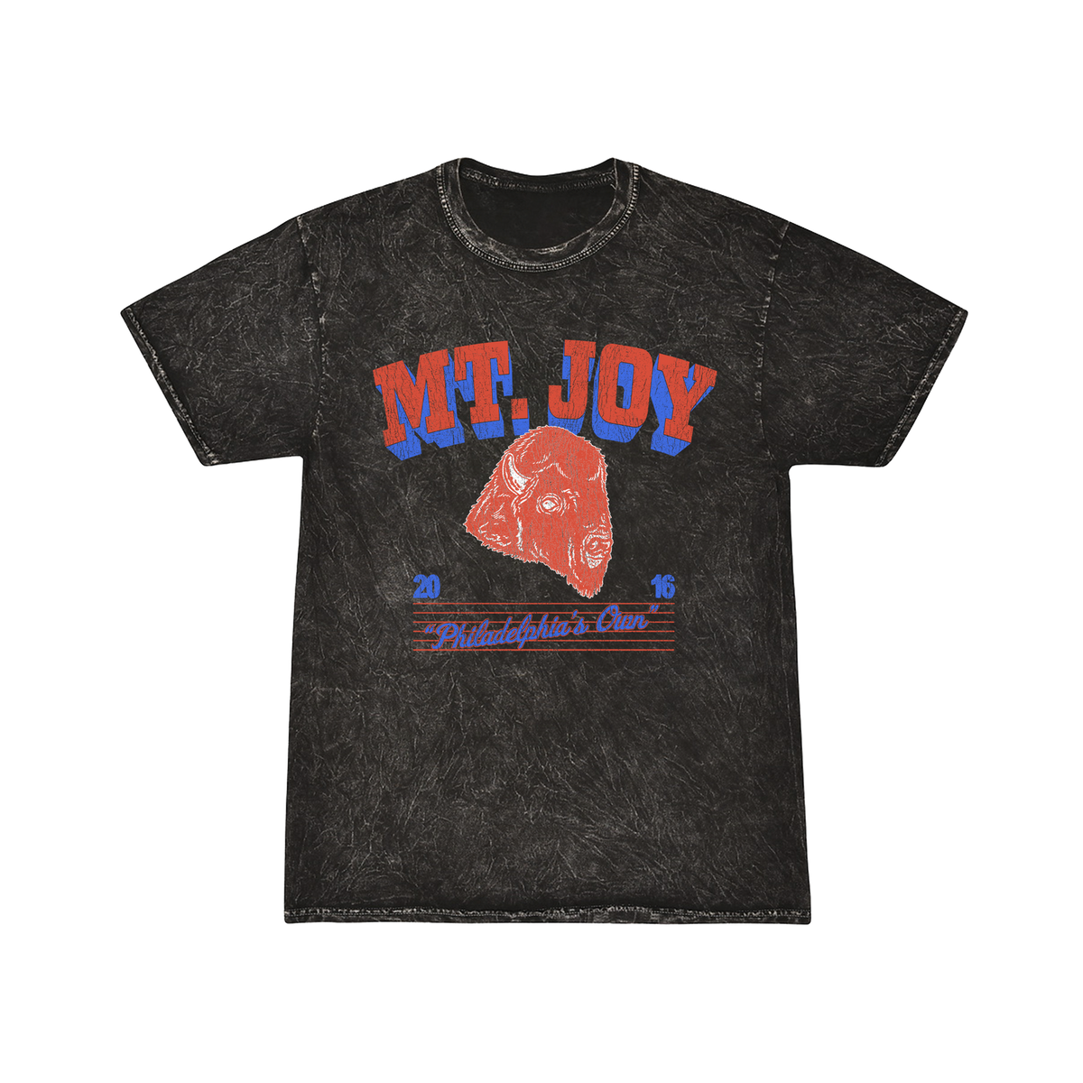 Mt. Joy Championship mineral wash T-shirt